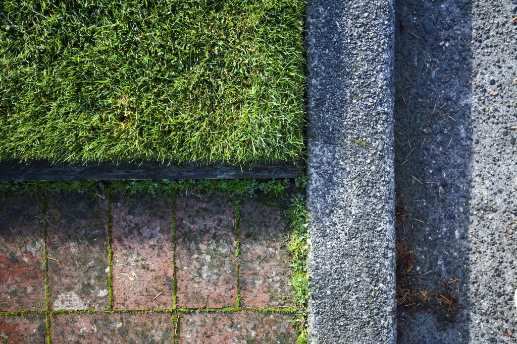 Seattle, Washington, USA,Sidewalk, Street Curb and Grass