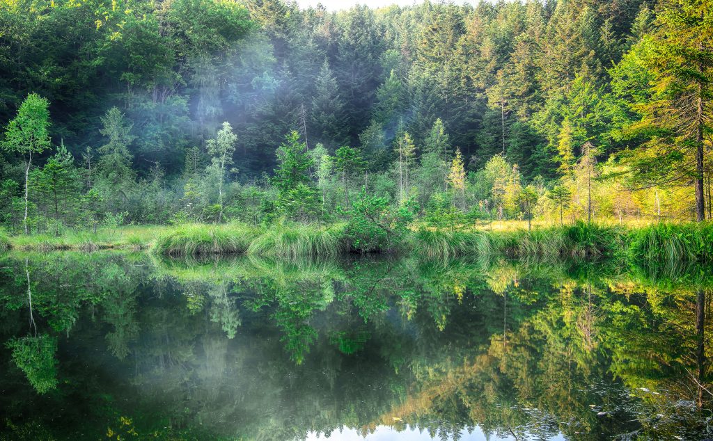 Green forest, dramatic sky, meadow and reflection in water of Cr