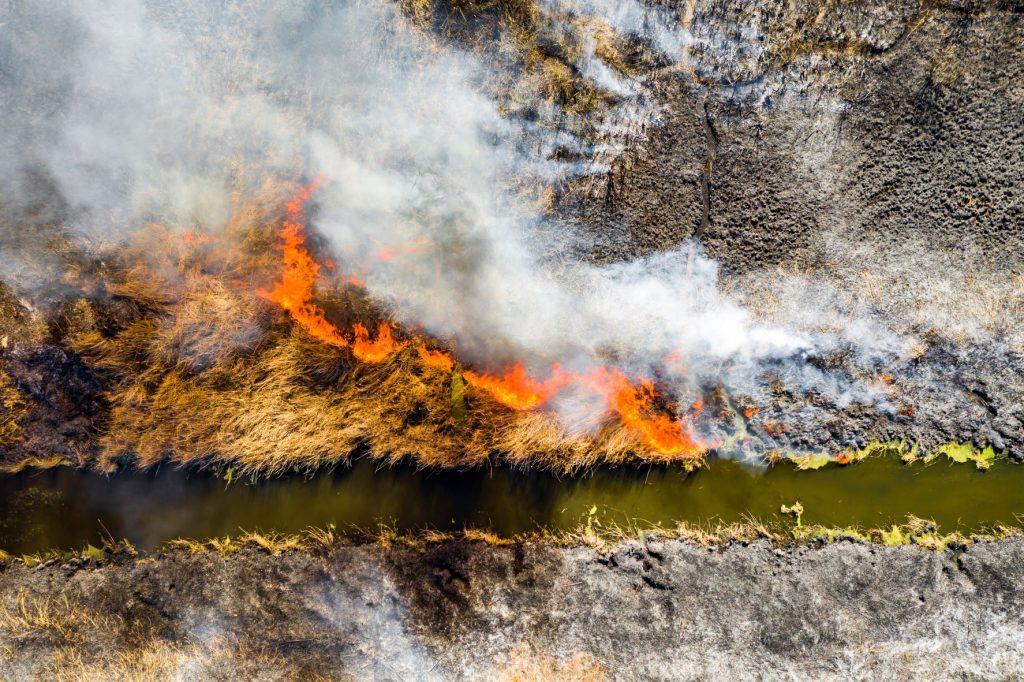 aerial-view-of-wildfire-on-the-field-huge-clouds-o-PQ8EX6R