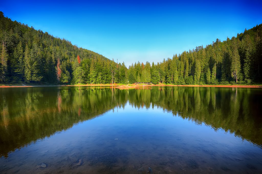 mountain-lake-among-the-green-fir-forest-in-pictur-2021-08-26-16-23-10-utc