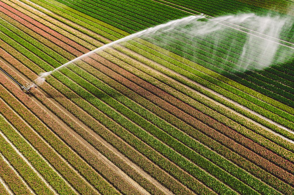irrigation-2021-09-22-20-27-22-utc