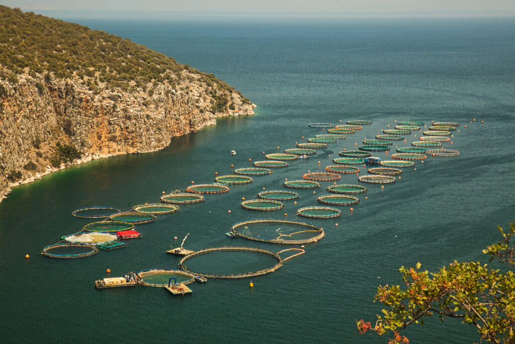 Fish farm cages on bay in Mediterranean sea, Greece.