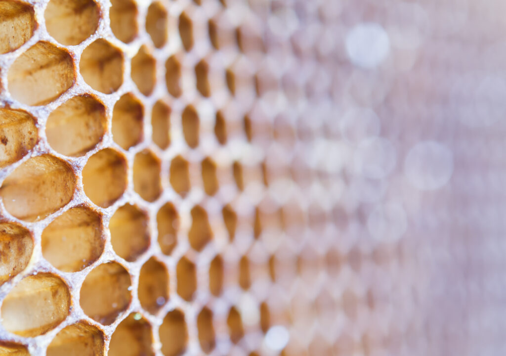 texture of honeycomb
