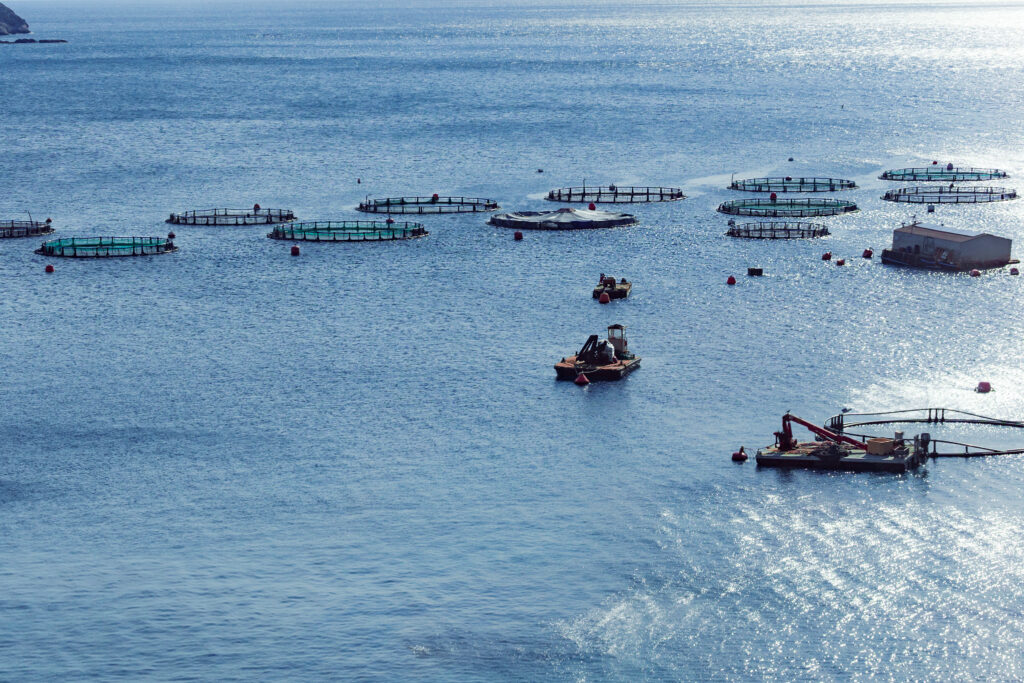 Aquaculture settlement, fish farm with floating circle cages around bay of Attica in Greece.